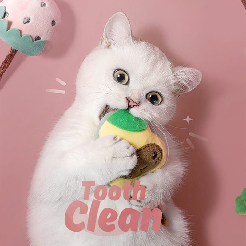pets : Kattenspeelgoed Set Fruitvormen - Interactief Speelgoed - 6-Delig in van Pantino