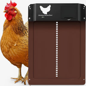 pets : Automatisch Kippenluik - Timer & Lichtsensor - Groen - Veilig & Gebruiksvriendelijk in van Pantino
