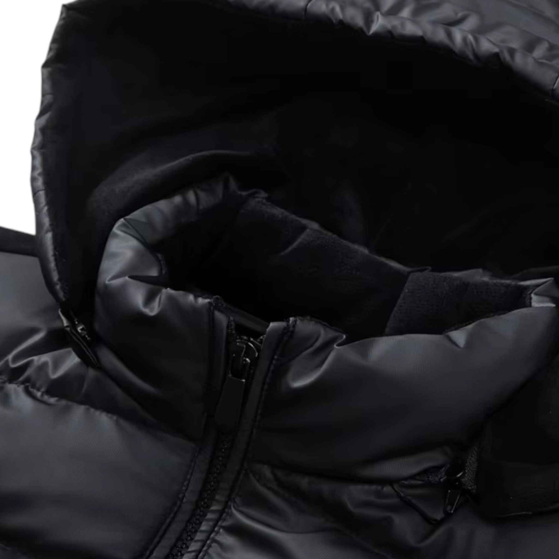 Jackets : Stijl en Warmte in Perfecte Harmonie in van Pantino