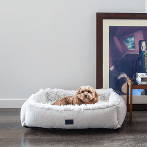 pets : Orthopedisch Pluche Hondenbed in Elegant Grijs in L van Pantino