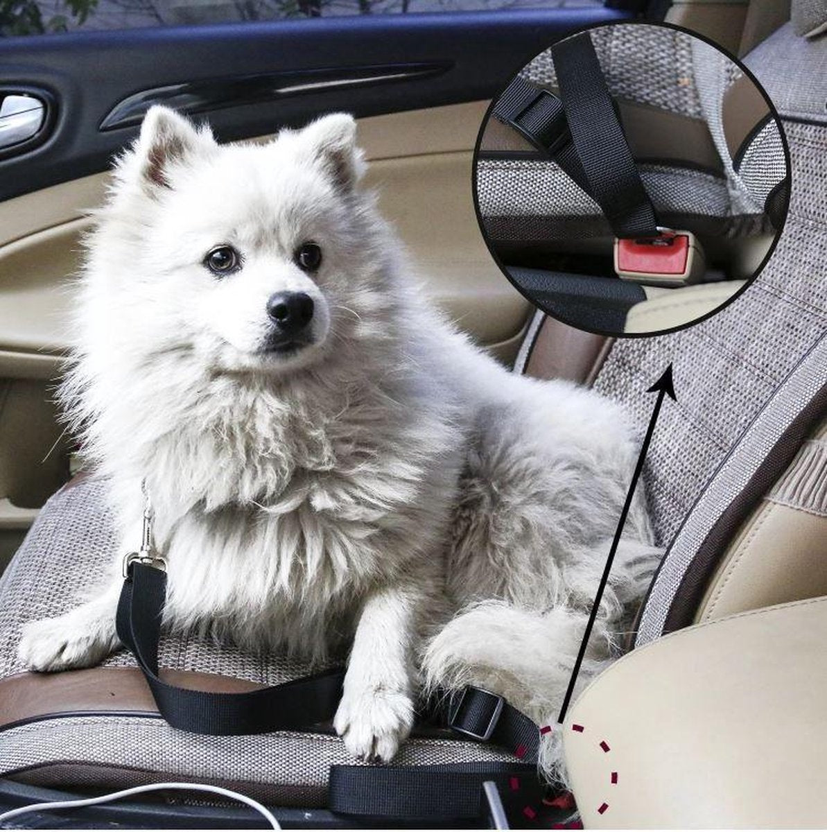 pets : Autogordel Huisdier - Veilig Je Huisdier Vervoeren - Zwart in van Pantino