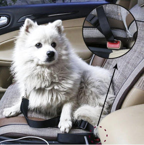 pets : Autogordel Huisdier - Veilig Je Huisdier Vervoeren - Zwart in van Pantino