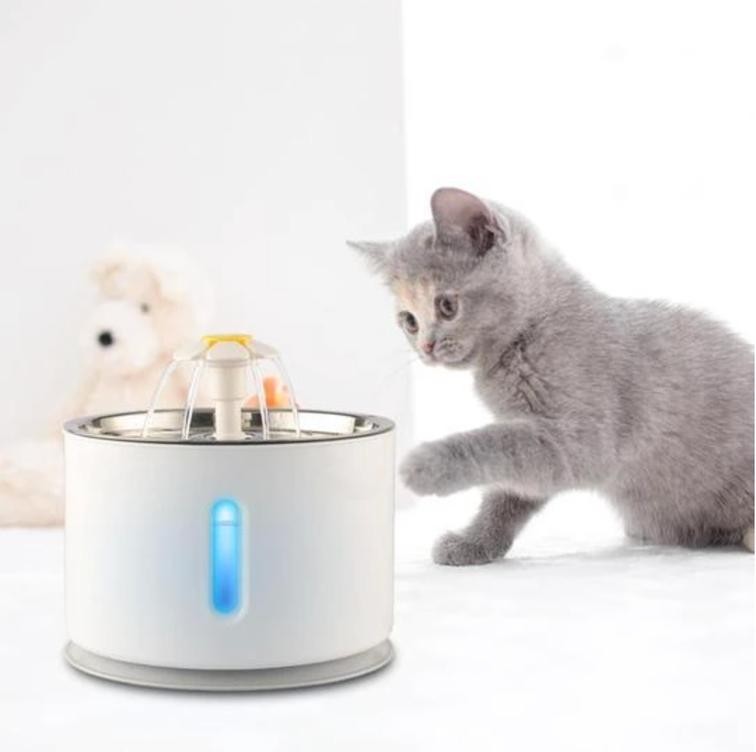 pets : Automatische Drinkfontein voor Huisdieren - Kattendrinkbak Pro - Zilver in van Pantino