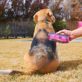 pets : PupGroomer Borstel voor Ondervacht en Vacht in van Pantino
