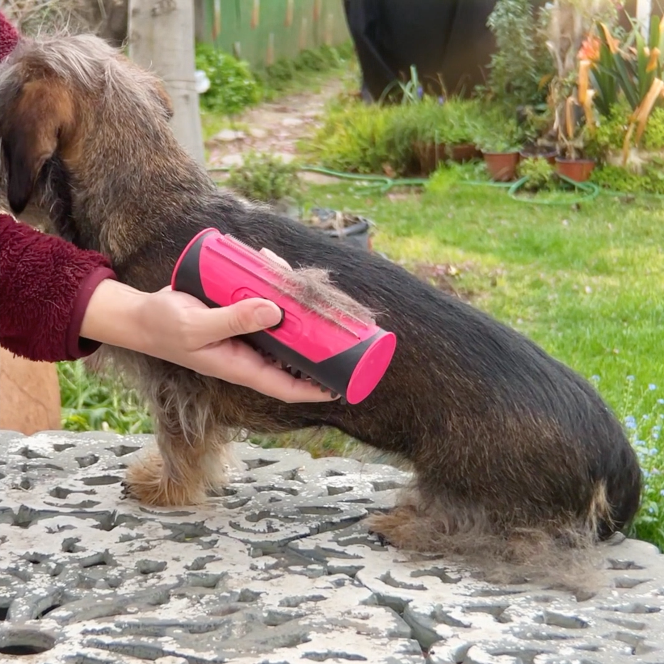 pets : Hondenborstel voor ondervacht en vacht - Verwijdert losse haren en klitten in van Pantino