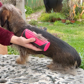 pets : PupGroomer Borstel voor Ondervacht en Vacht in van Pantino