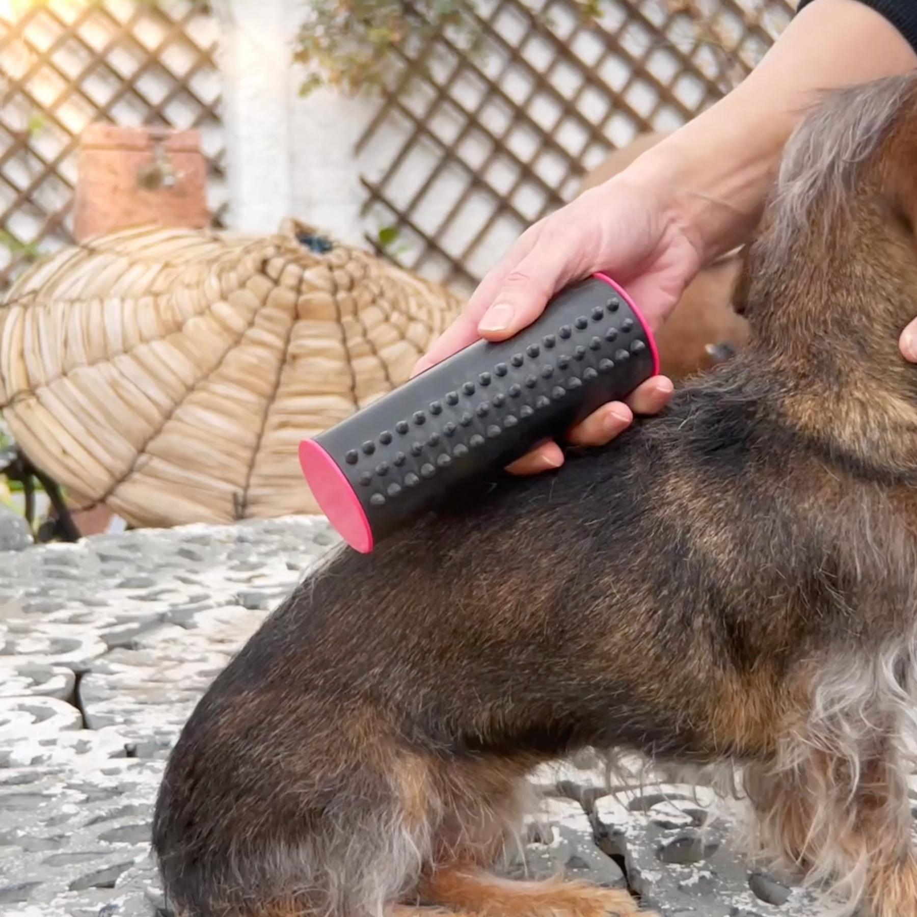 pets : PupGroomer Borstel voor Ondervacht en Vacht in van Pantino