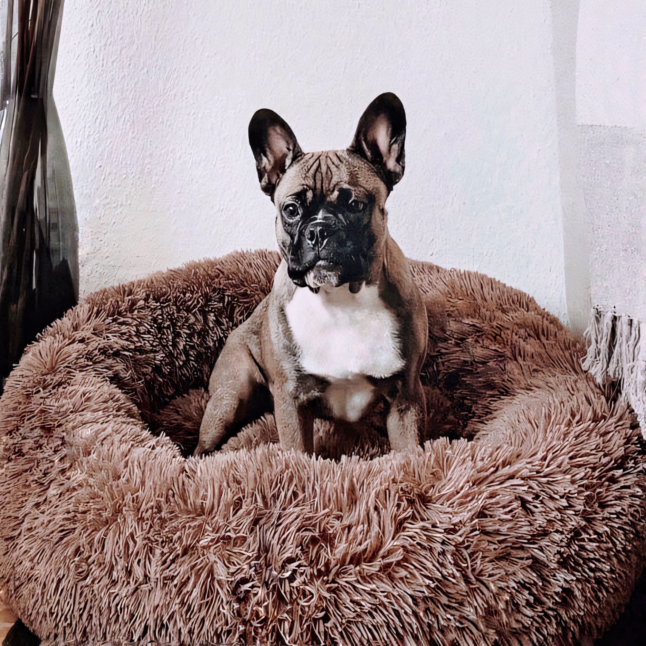 pets : PawZen - Comfortabel Hondenbed - Ultiem Comfort in Bruin van Pantino