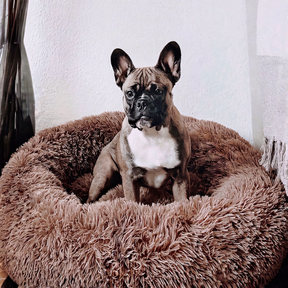 pets : PawZen - Comfortabel Hondenbed - Ultiem Comfort in Bruin van Pantino