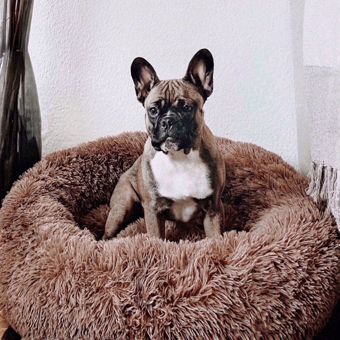 pets : Hondenbed Grijs - Ultiem Comfortabel Zacht Ligplaats - Pluche in Bruin van Pantino