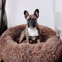 pets : Hondenbed Grijs - Ultiem Comfortabel Zacht Ligplaats - Pluche in Bruin van Pantino