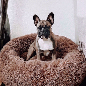 pets : Hondenbed Grijs - Ultiem Comfortabel Zacht Ligplaats - Pluche in Bruin van Pantino