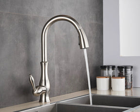 home & garden : Intrekbare Keukenkraan - Geborsteld Nikkel Uittrekbaar Design - RVS in van Pantino