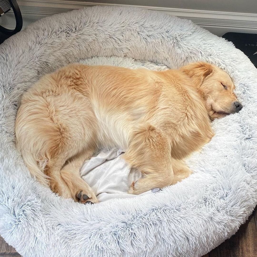 pets : Hondenmand Fluffy Calming Bed Koffie - Zacht Anti-Angst voor Kleine & Middelgrote Honden in van Pantino