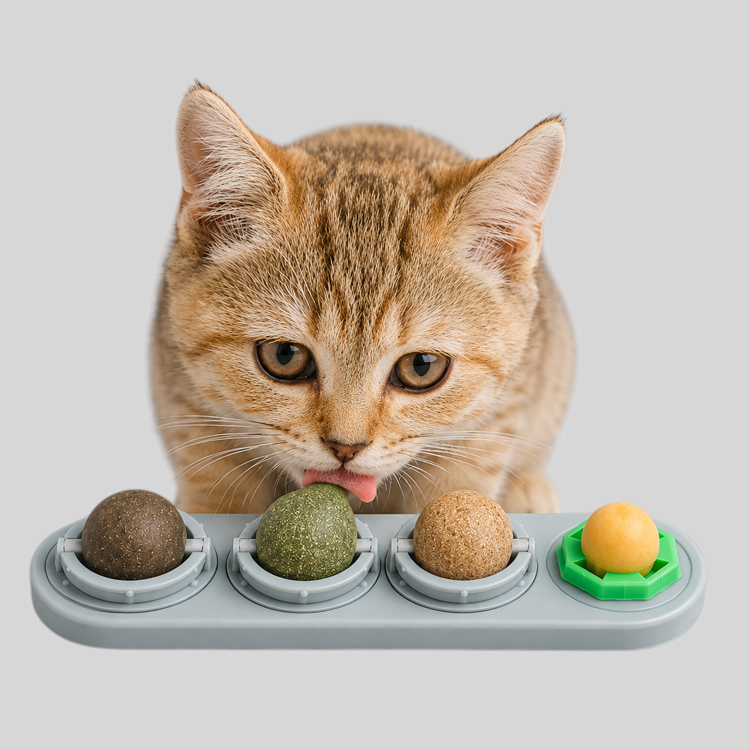 Interactief Kattenspeeltje met Draaibare Kattenkruidballen