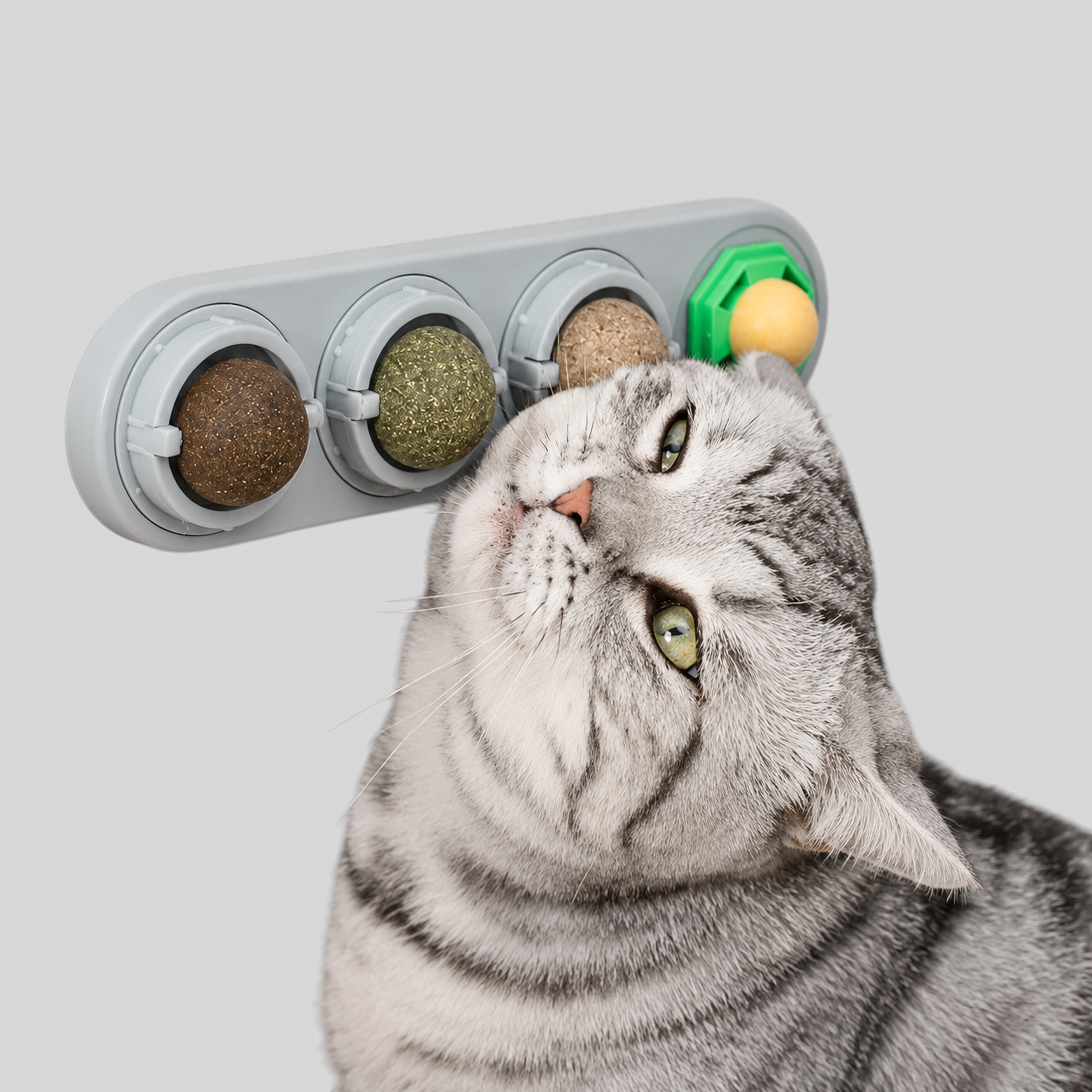 Interactief Kattenspeeltje met Draaibare Kattenkruidballen