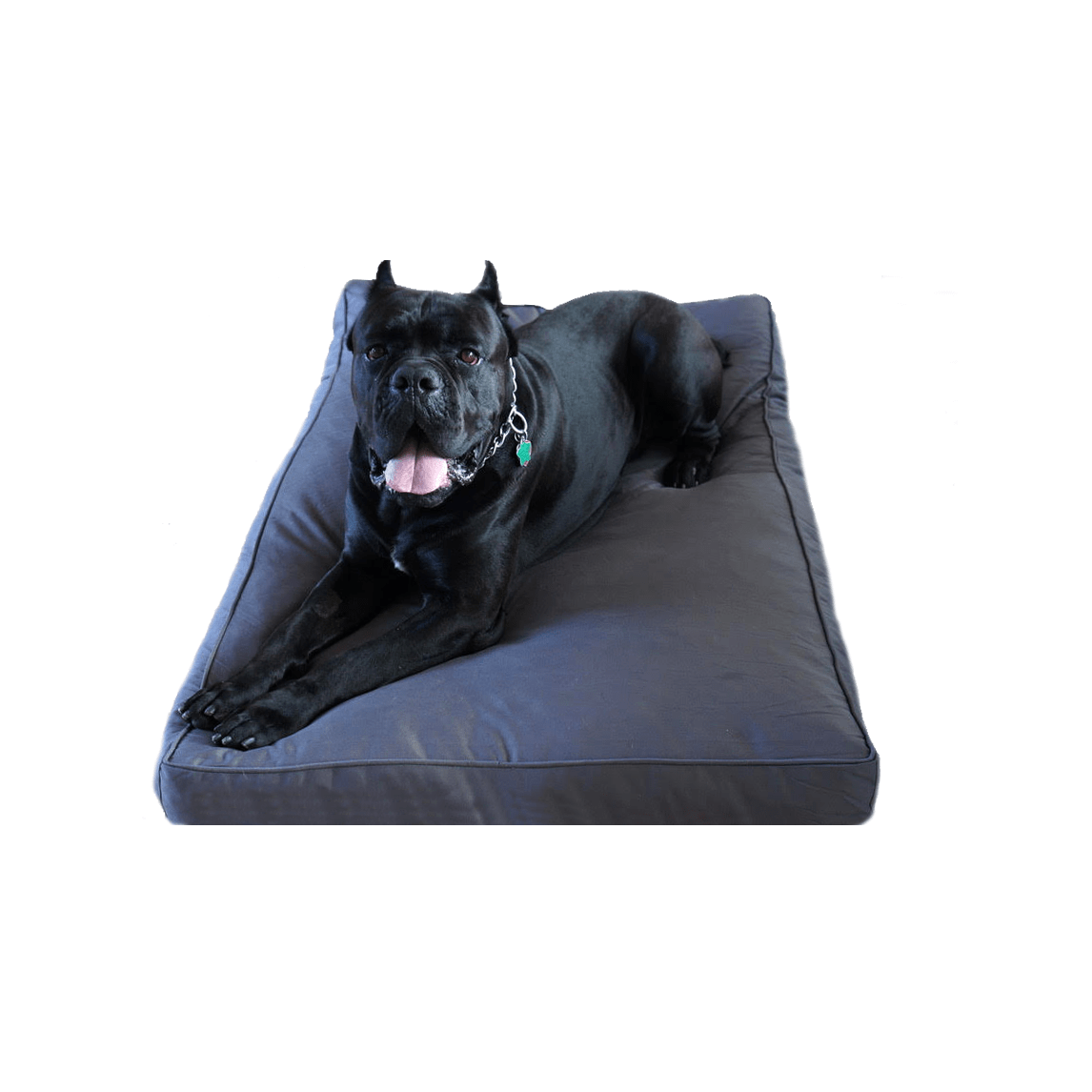 pets : Orthopedisch Robuust Zwart Hondenbed in Grijs van Pantino