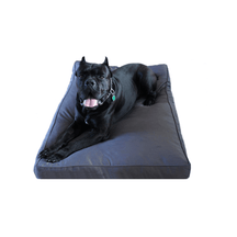 pets : Orthopedisch Robuust Zwart Hondenbed in Grijs van Pantino