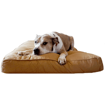 pets : Orthopedisch Robuust Zwart Hondenbed in Tan van Pantino