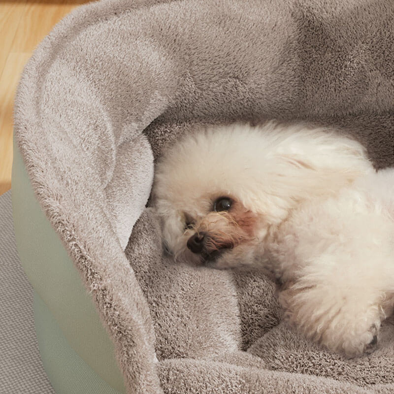 pets : Knusse Donut Hondenmand - Pastelgroen - Groen in van Pantino