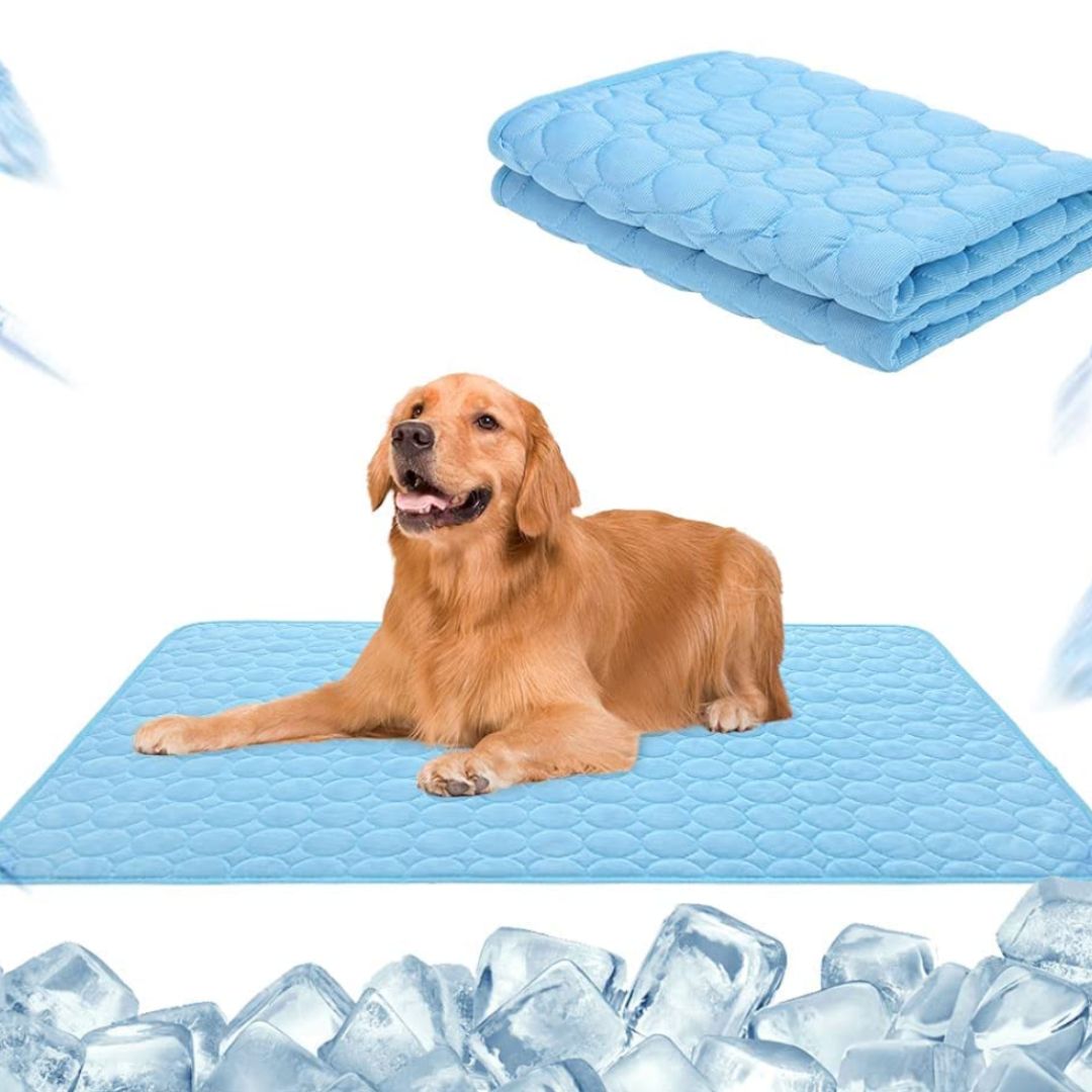 pets : Koelmat voor huisdieren - verkoelende gelmat voor honden en katten in de zomer in Blauw van Pantino