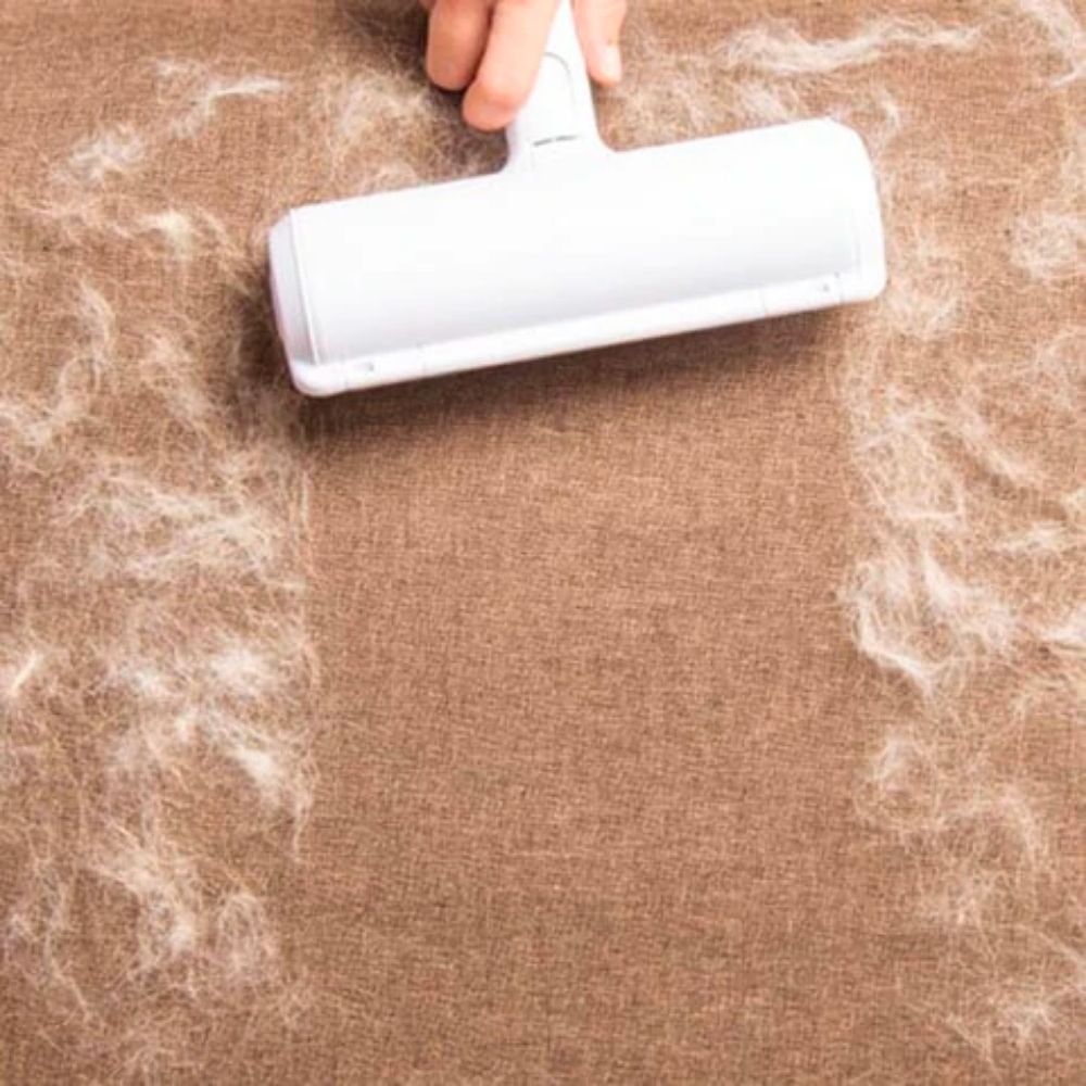 pets : Haarverwijderaar Huisdieren 2-Weg - Microvezelroller Kleding Meubels - Microvezel in van Pantino