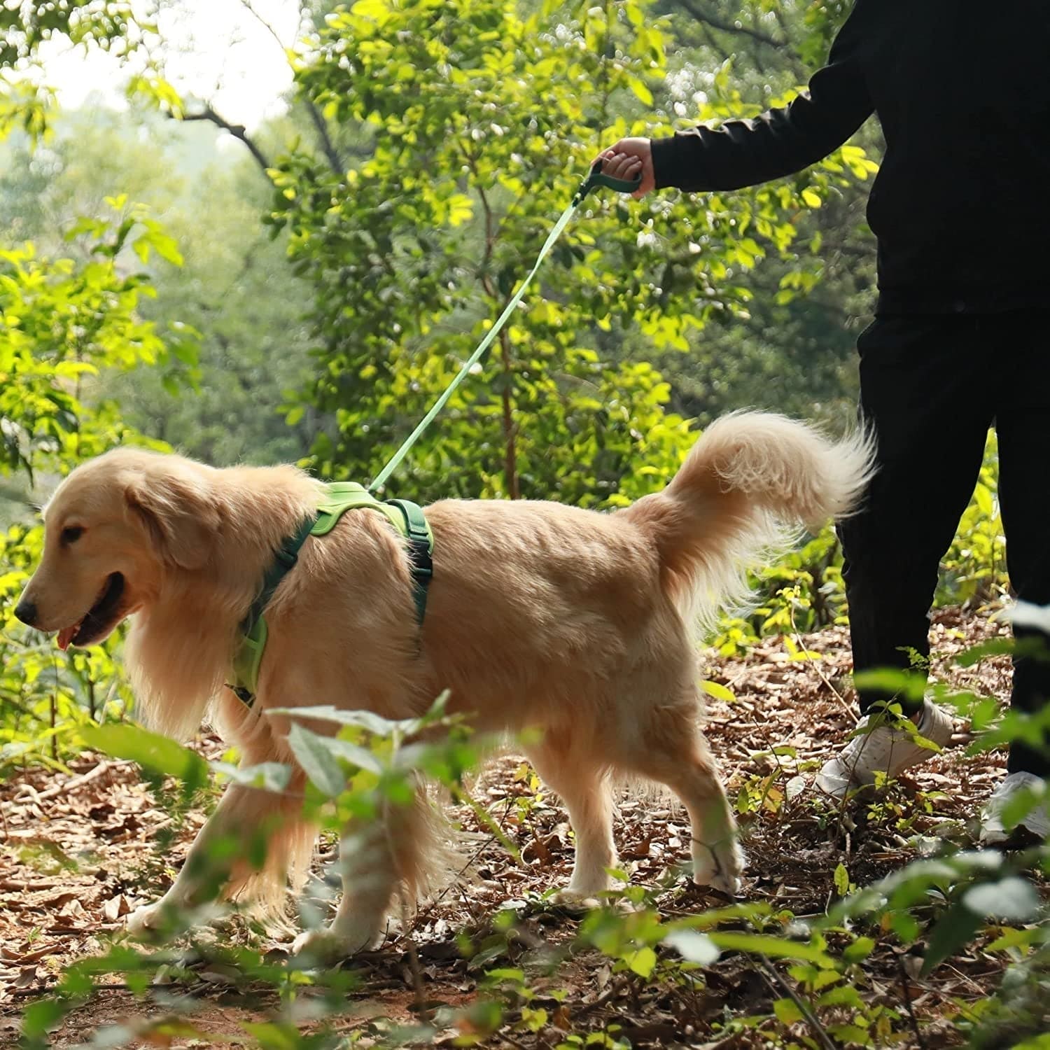pets : WalkLine - Ontspan, Loop en Connect Veilig - Zwart in van Pantino