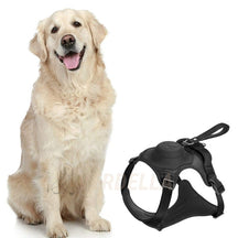 pets : WalkLine - Ontspan, Loop en Connect Veilig - Zwart in Zwart van Pantino