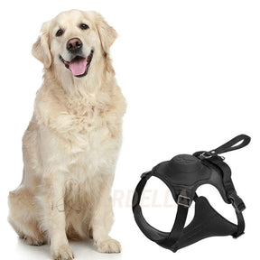 pets : WalkLine - Ontspan, Loop en Connect Veilig - Zwart in Zwart van Pantino
