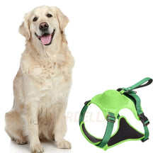 pets : WalkLine - Ontspan, Loop en Connect Veilig - Zwart in Groen van Pantino