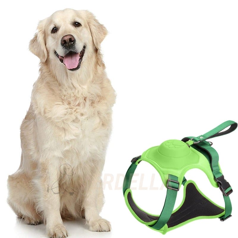 pets : WalkLine - Ontspan, Loop en Connect Veilig - Zwart in Groen van Pantino