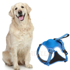 pets : WalkLine - Ontspan, Loop en Connect Veilig - Zwart in Blauw van Pantino