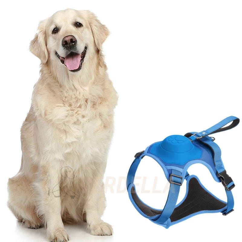 pets : WalkLine - Ontspan, Loop en Connect Veilig - Zwart in Blauw van Pantino