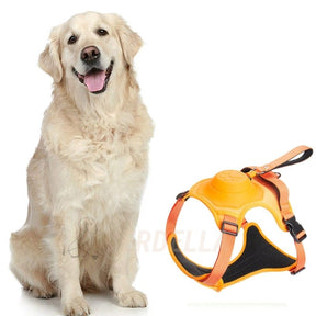 pets : WalkLine - Ontspan, Loop en Connect Veilig - Zwart in Oranje van Pantino