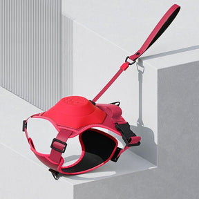 pets : WalkLine - Ontspan, Loop en Connect Veilig - Zwart in Rood van Pantino