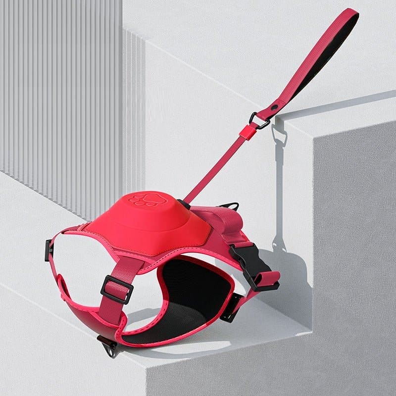 pets : WalkLine - Ontspan, Loop en Connect Veilig - Zwart in Rood van Pantino