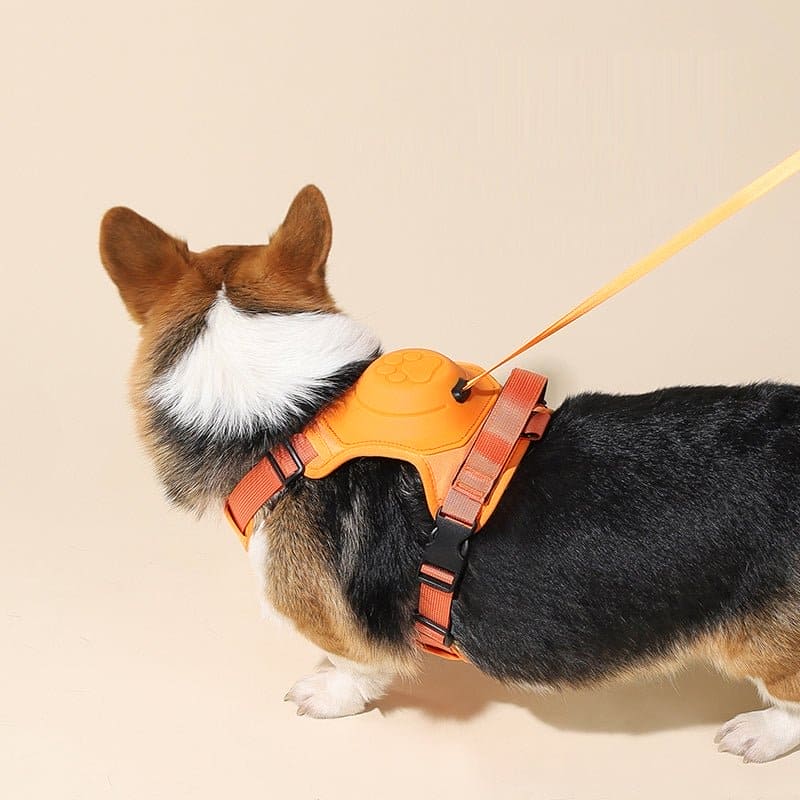 pets : WalkLine - Ontspan, Loop en Connect Veilig - Zwart in van Pantino