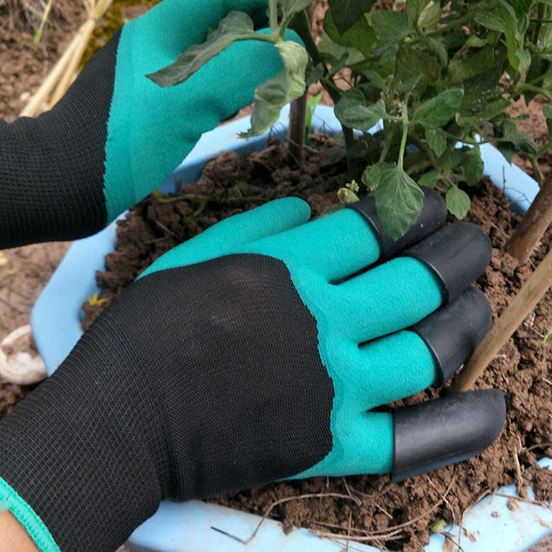 pets : Paw Gloves - Dierenbenodigdheden in van Pantino