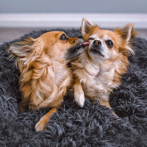 pets : Hondenbed Grijs - Ultiem Comfortabel Zacht Ligplaats - Pluche in van Pantino
