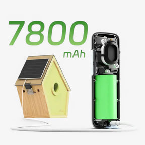 outdoor equipment : Reli Birddy Slank Vogelhuisje met Geavanceerde Technologie in van Pantino