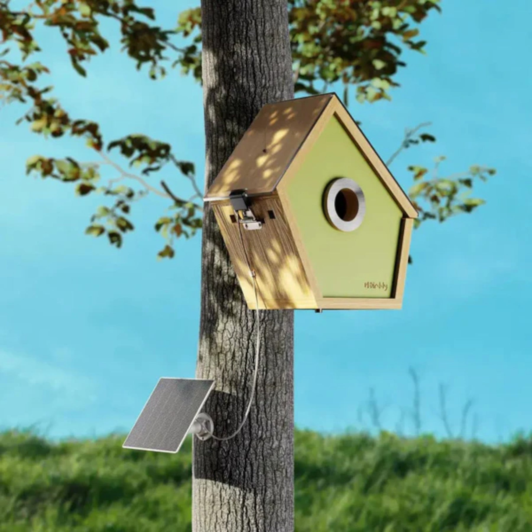 outdoor equipment : Reli Birddy Slank Vogelhuisje met Geavanceerde Technologie in van Pantino