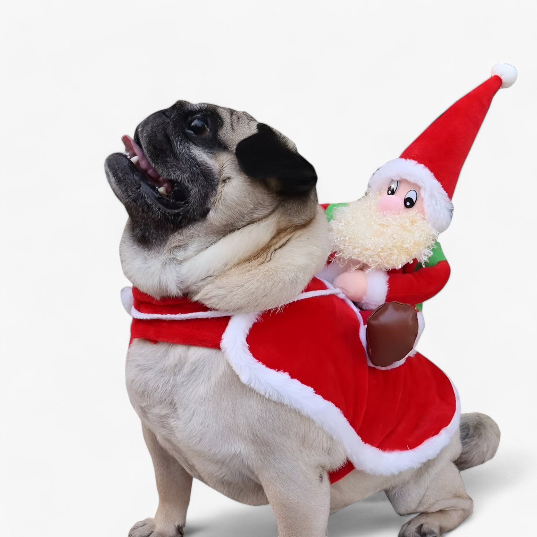 pets : Kerst Huisdier Hoodie - Dierenbenodigdheden in van Pantino