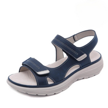 Sandals : Sandalen Grijs - Comfortabele Orthopeedische in Bleuw van Pantino