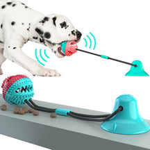 pets : Het Ideale Honden Speelgoed - Licht Blauw in Licht blauw van Pantino