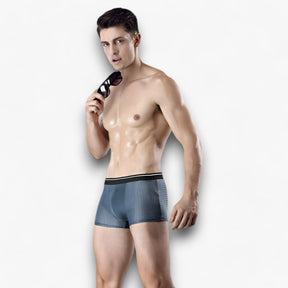 Men's Briefs : Ondergoed Heren - Ice Silk Briefs - Ademend in van Pantino