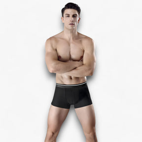 Men's Briefs : Ondergoed Heren - Ice Silk Briefs - Ademend in van Pantino