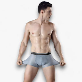 Men's Briefs : Ondergoed Heren - Ice Silk Briefs - Ademend in van Pantino