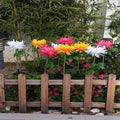 Chrysanthemum LED Solar Licht Roze - Tuin Decoratief Bloemlicht - Solar LED
