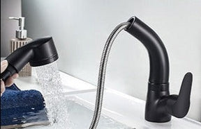 home & garden : Uittrekbare Lift voor de Badkamer Messing Mengkraan Kraan Heren Chroom - Zwart in van Pantino