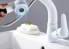 home & garden : Uittrekbare Lift voor de Badkamer Messing Mengkraan Kraan Heren Chroom - Zwart in van Pantino